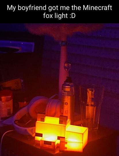 My boyfriend got me the Minecraft fox light D
