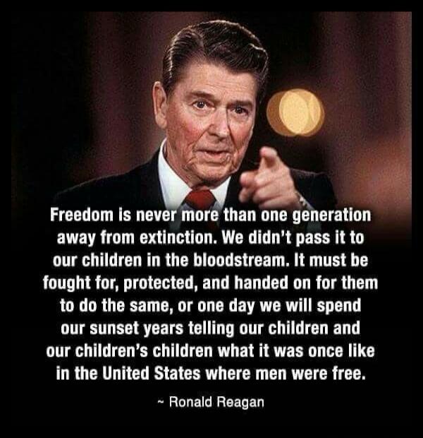 Freedom is never more than one generation away from extinction. We didn't pass it to our children in the bloodstream. It must be fought for, protected, and handed on for them to do the same, or one day we will spend our sunset years telling our children and our children's children what it was once like in the United States where men were free. ~ Ro