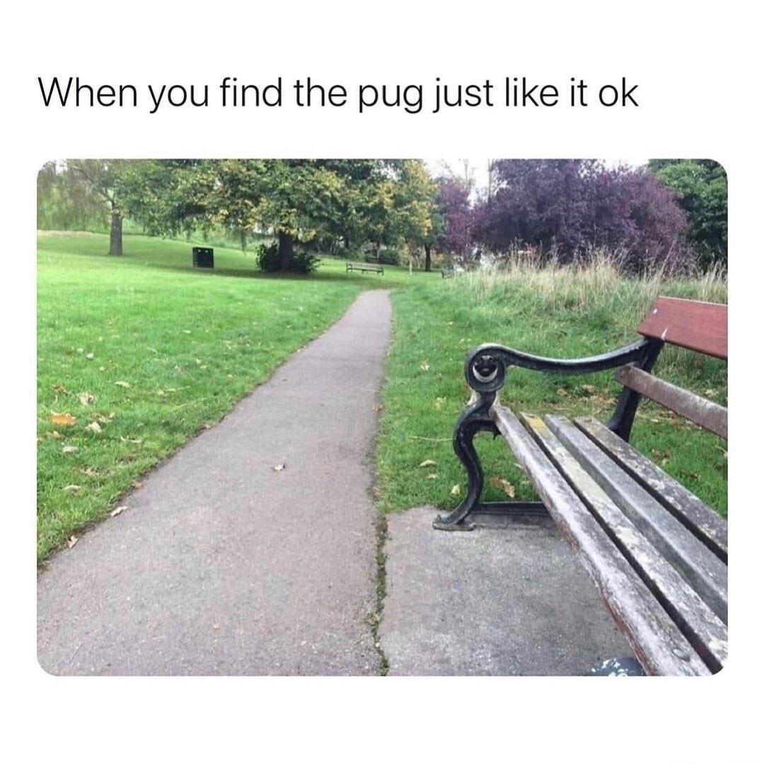 When you find the pug just like it ok