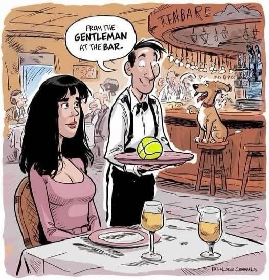 From the gentleman at the bar.