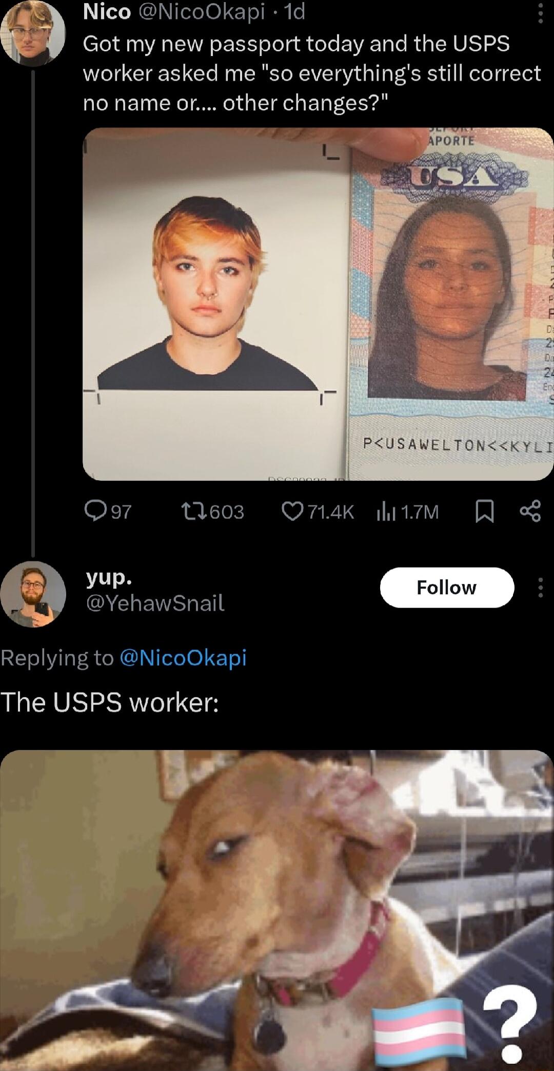 Nico NicoOkapi 1d elel 8L R E EEET T e S T EIVET TR GER VIS worker asked me so everythings still correct no name or other changes Qo7 0603 QO74K v Follow Replying to NicoOkapi The USPS worker