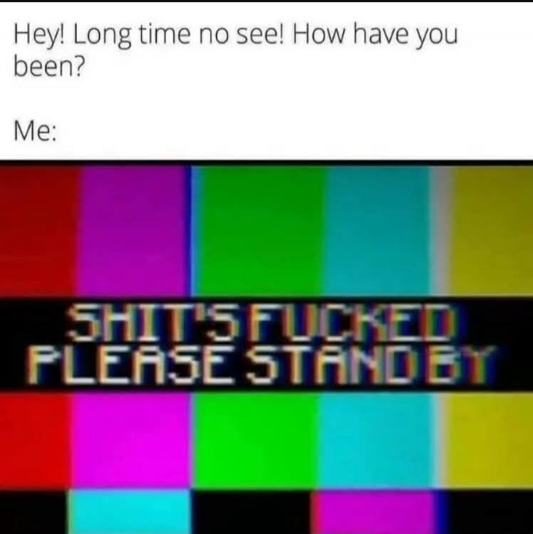 Hey! Long time no see! How have you been? Me: SHIT'S FUCKED PLEASE STAND BY