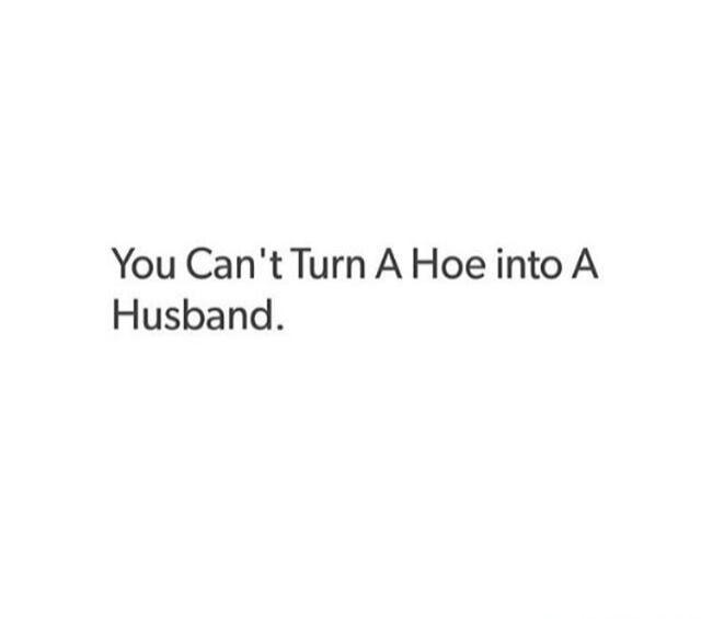 You Can't Turn A Hoe into A Husband.