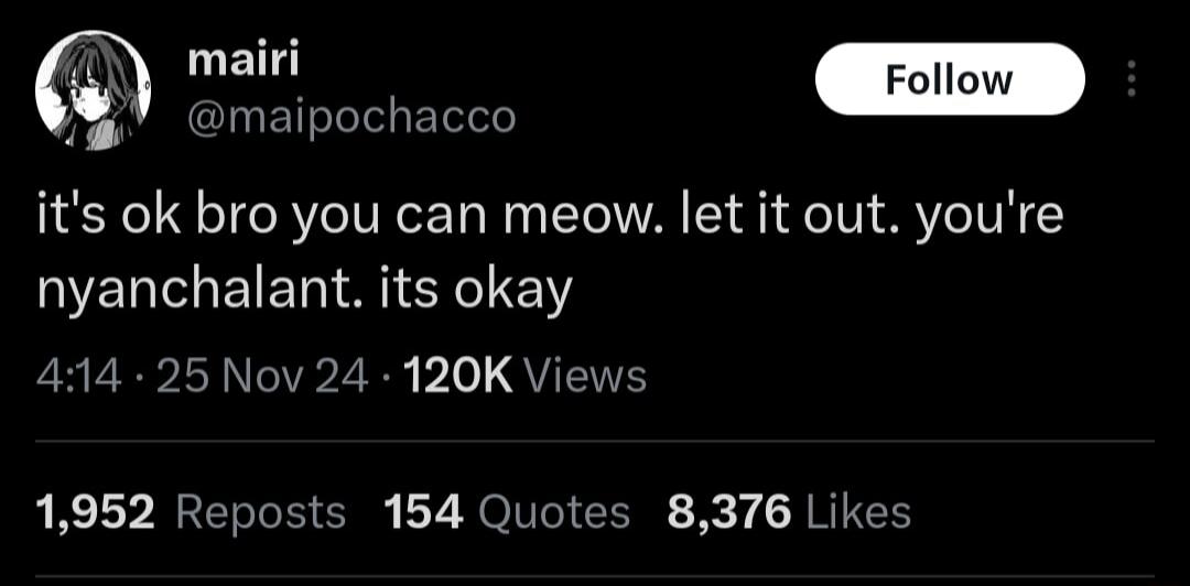 maipochacco its ok bro you can meow let it out youre nyanchalant its okay L ERP I N2 B 1o QUTEITS 1952 Reposts 154 Quotes 8376 Likes