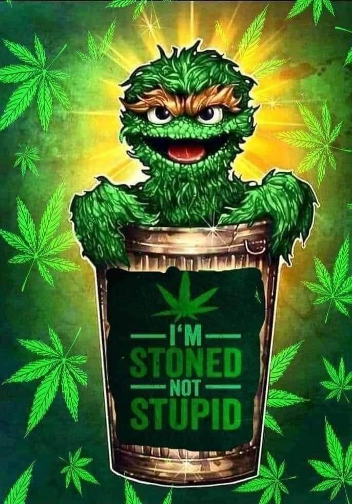 I'M STONED -NOT- STUPID