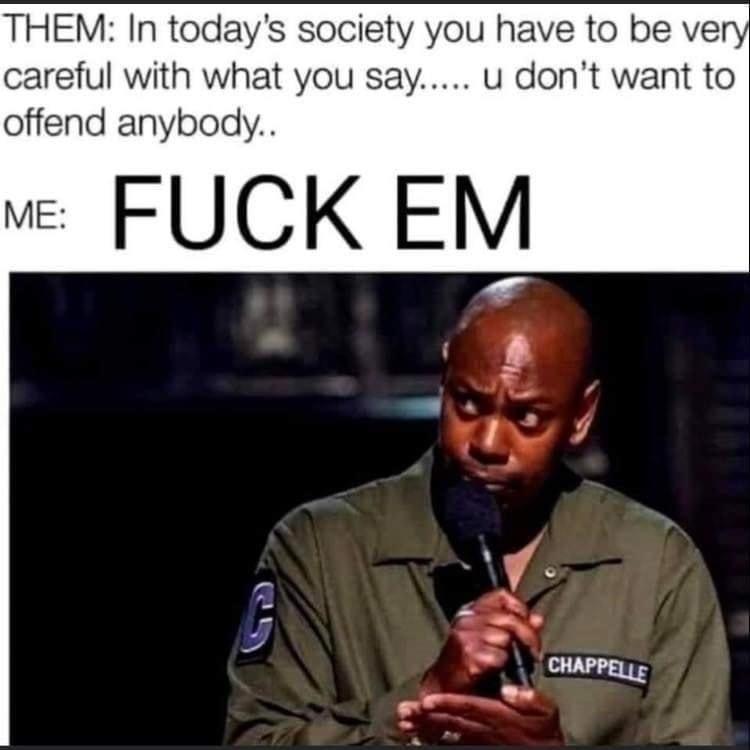 THEM In todays society you have to be ve careful with what you say u dont want to offend anybody ve FUCK EM