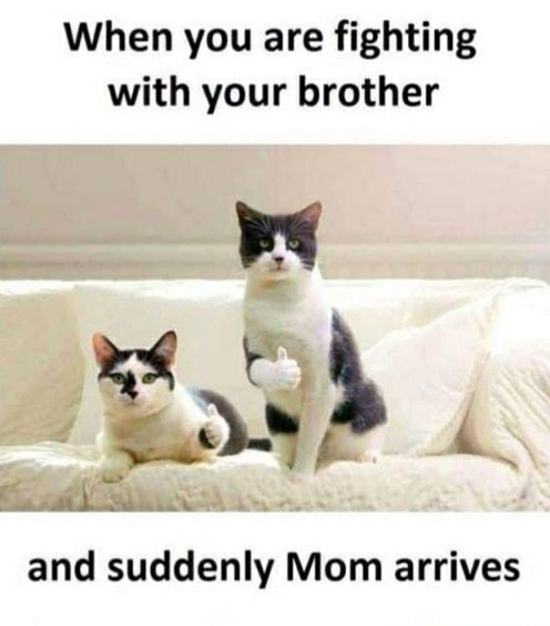 AT When you are fighting with your brother y v L _yt and suddenly Mom arrives