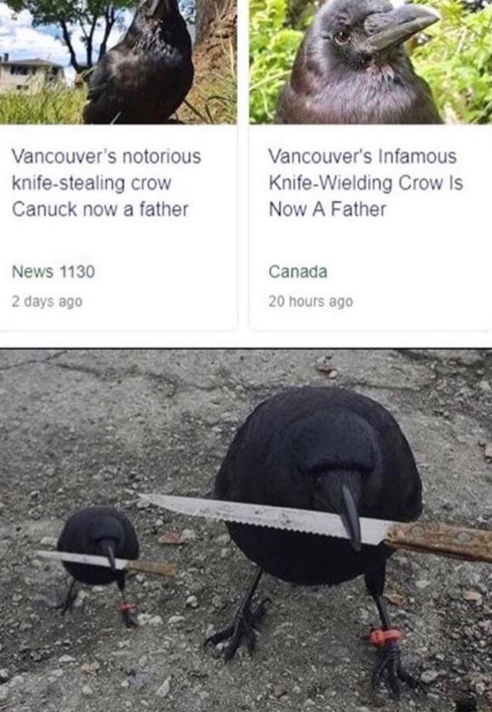 Knife Wielding Now A Fat Canada