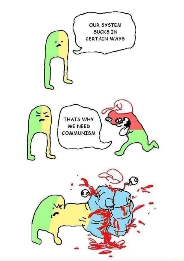 OUR SYSTEM SUCKS IN CERTAIN WAYS THATS WHY WE NEED COMMUNISM