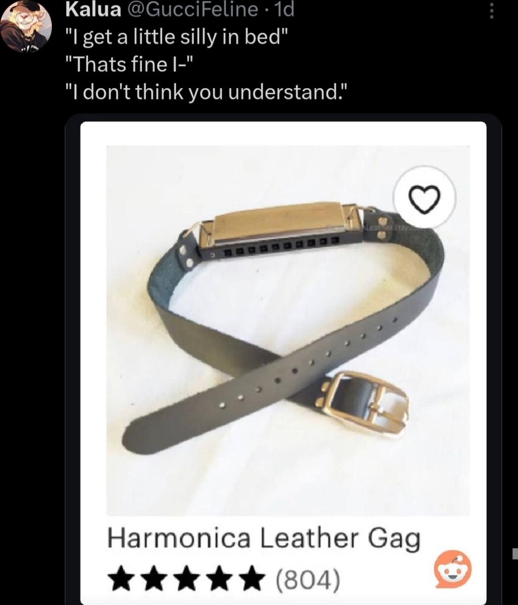 LELE i RECENERITALERY RUEIS YR I dont think you understand Harmonica Leather Gag k Kk 804