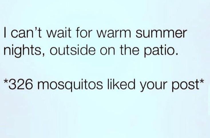 cant wait for warm summer nights outside on the patio 326 mosquitos liked your post