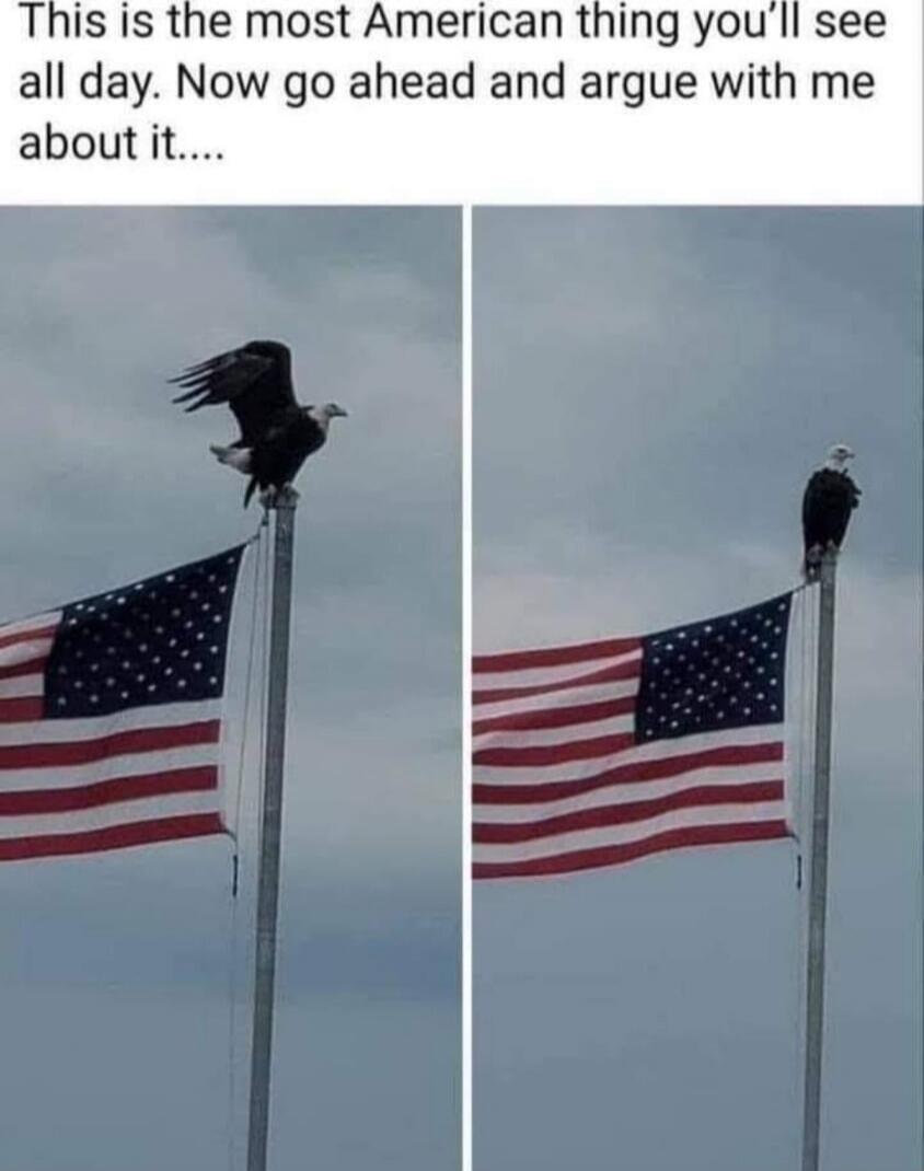 This is the most American thing you'll see all day. Now go ahead and argue with me about it....