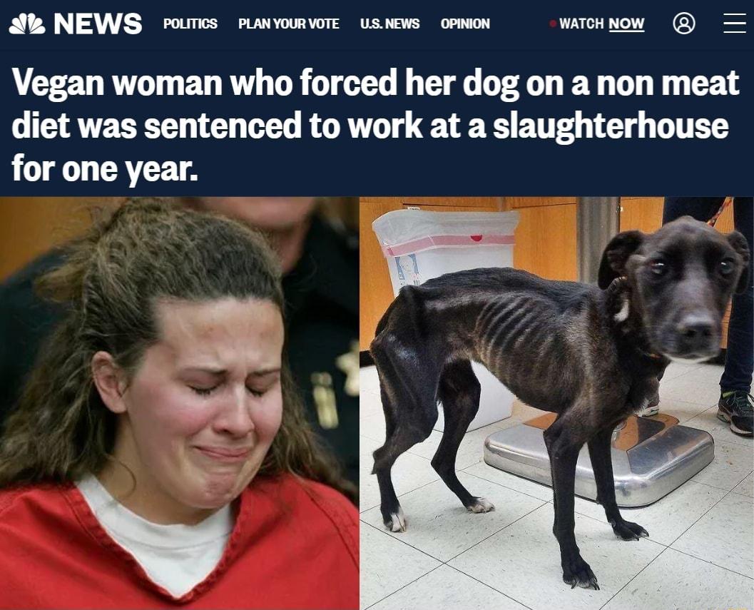 Su NEWS rums rawomwr uswews omeon wonnow Vegan woman who forced her dog on a non meat diet was sentenced to work at a slaughterhouse for one year