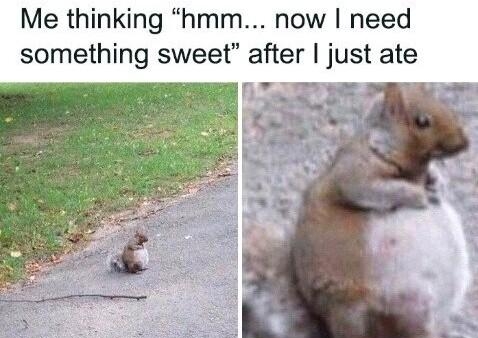 Me thinking hmm now need