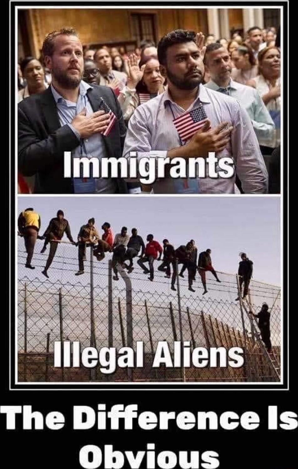 ifferencels 0 4 TheD