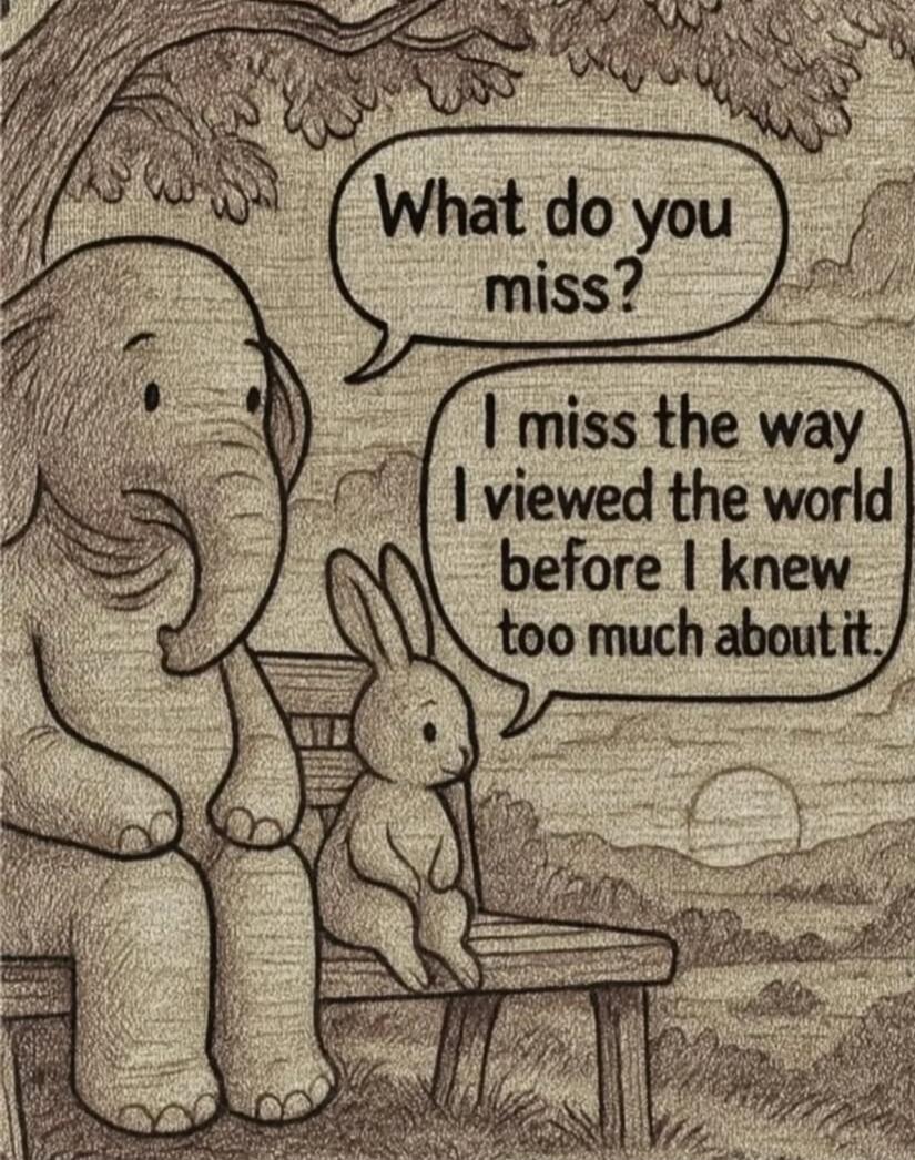 What do you miss?
I miss the way I viewed the world before I knew too much about it.