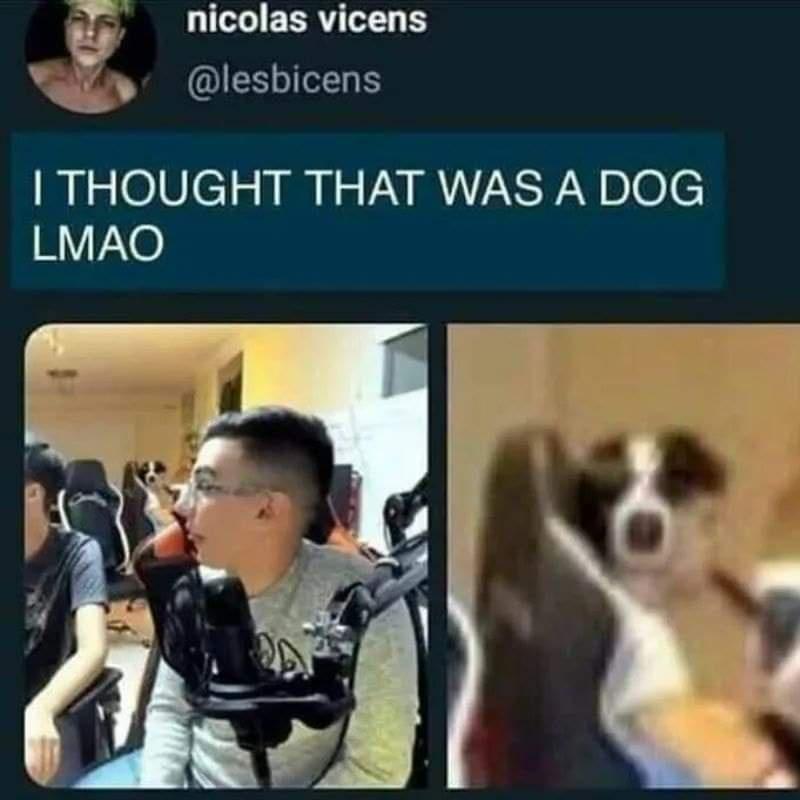 g nicolas vicens A AY QIES TN THOUGHT THAT WAS A DOG LMAO