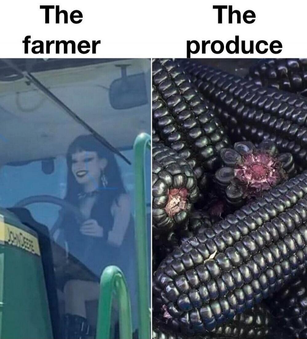 The farmer
The produce