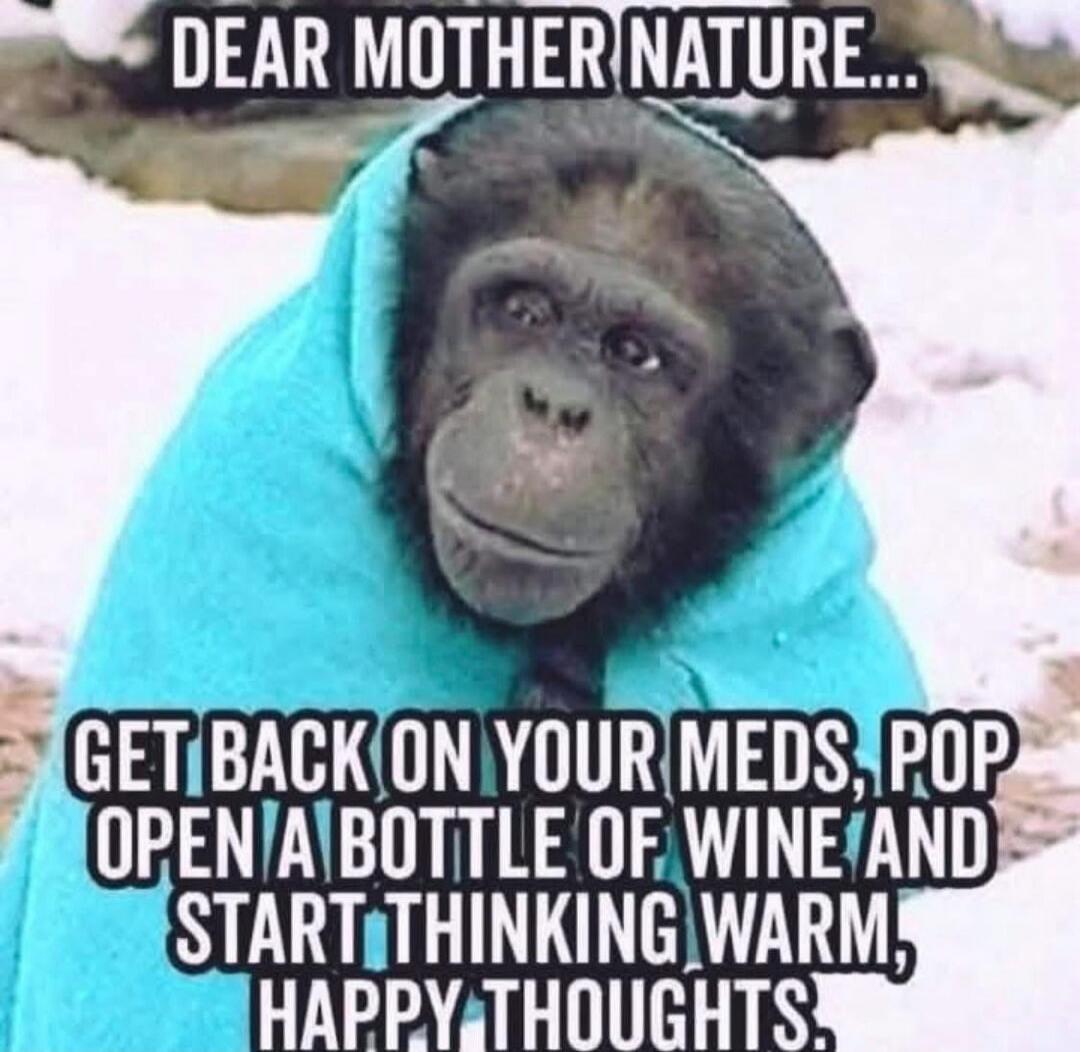 DEAR MOTHER NATURE... GET BACK ON YOUR MEDS, POP OPEN A BOTTLE OF WINE AND START THINKING WARM, HAPPY THOUGHTS.