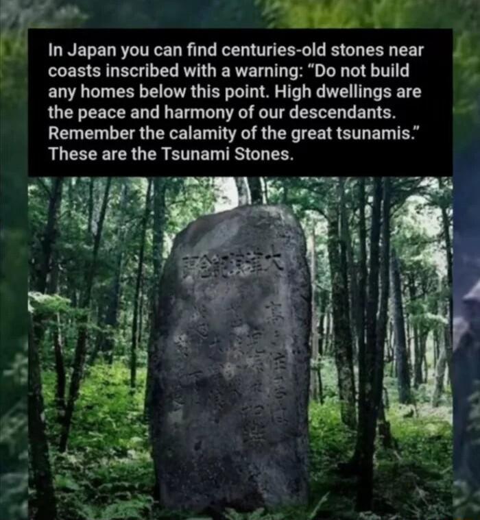 g el s In Japan you can find centuries old stones near _ coasts inscribed with a warning Do not build any homes below this point High dwellings are the peace and harmony of our descendants Remember the calamity of the great tsunamis LRI G TR ETLEL TS CL TSN