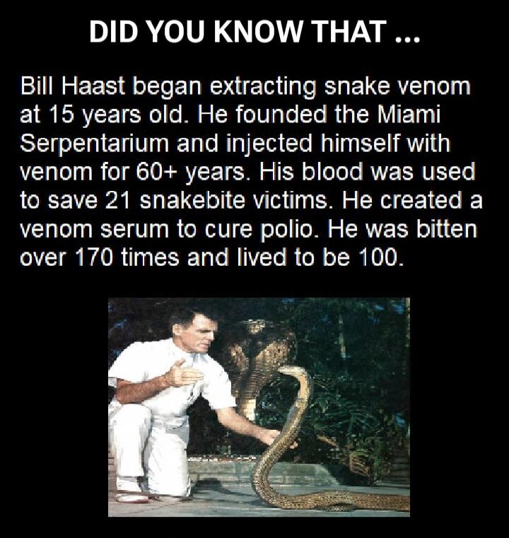 DID YOU KNOW THAT ... Bill Haast began extracting snake venom at 15 years old. He founded the Miami Serpentarium and injected himself with venom for 60+ years. His blood was used to save 21 snakebite victims. He created a venom serum to cure polio. He was bitten over 170 times and lived to be 100.
