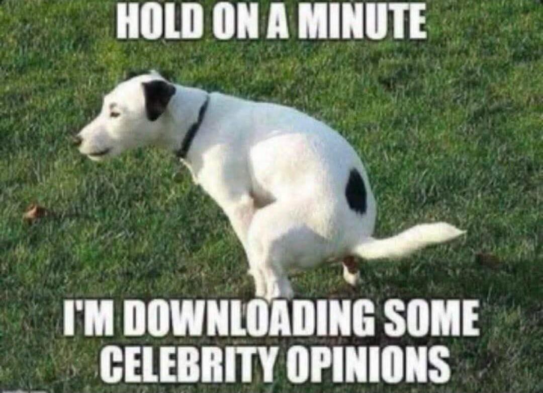 HOLD ON A MINUTE I'M DOWNLOADING SOME CELEBRITY OPINIONS