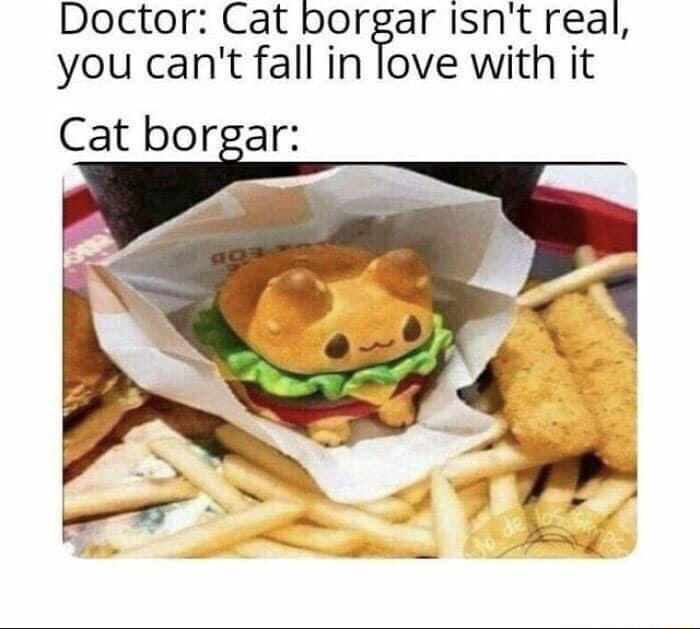 Doctor Cat borgar isnt real you cant fall in fove with it Cat borgar