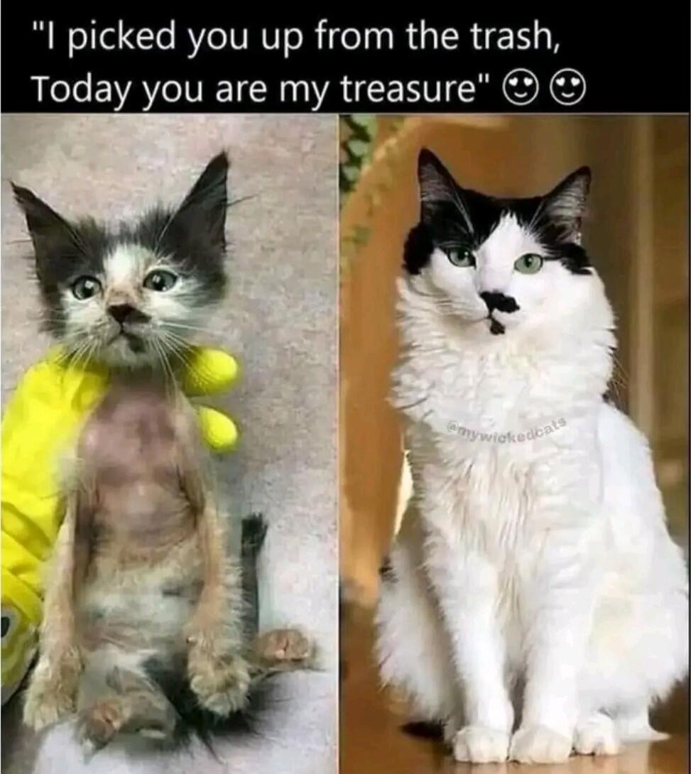 I picked you up from the ti sh Today you are my treasure