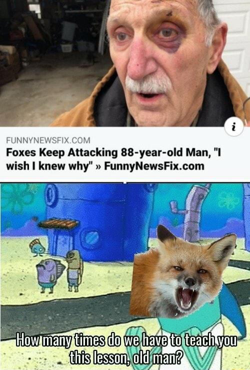 FUNN XCOM Foxes Keep Attacking 88 year old Man l wish knew why FunnyNewsFixcom