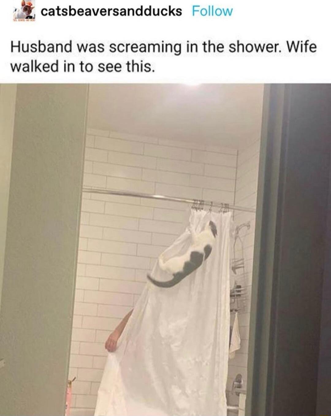 catsbeaversandducks Follow Husband was screaming in the shower Wife walked in to see this i
