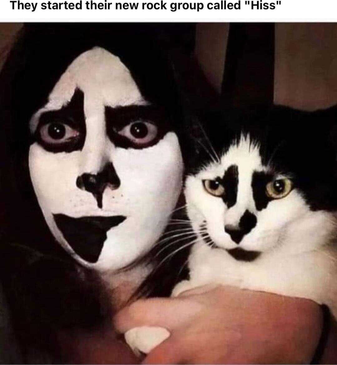 They started their new rock group called Hiss