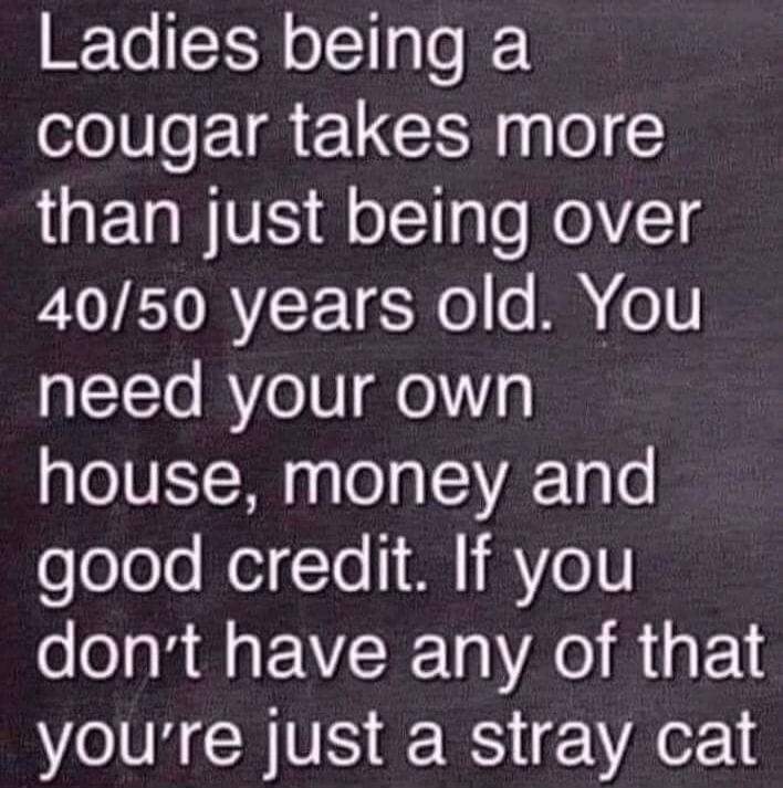 Ladies being a cougar takes more than just being over 40/50 years old. You need your own house, money and good credit. If you don't have any of that you're just a stray cat