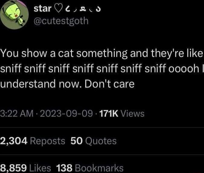 star D a0 cutestgoth You show a cat something and theyre like sniff sniff sniff sniff sniff sniff sniff ooooh understand now Dont care 322 AM 2023 09 09 171K Views 2304 Reposts 50 Quotes 8859 Likes 138 Bookmarks