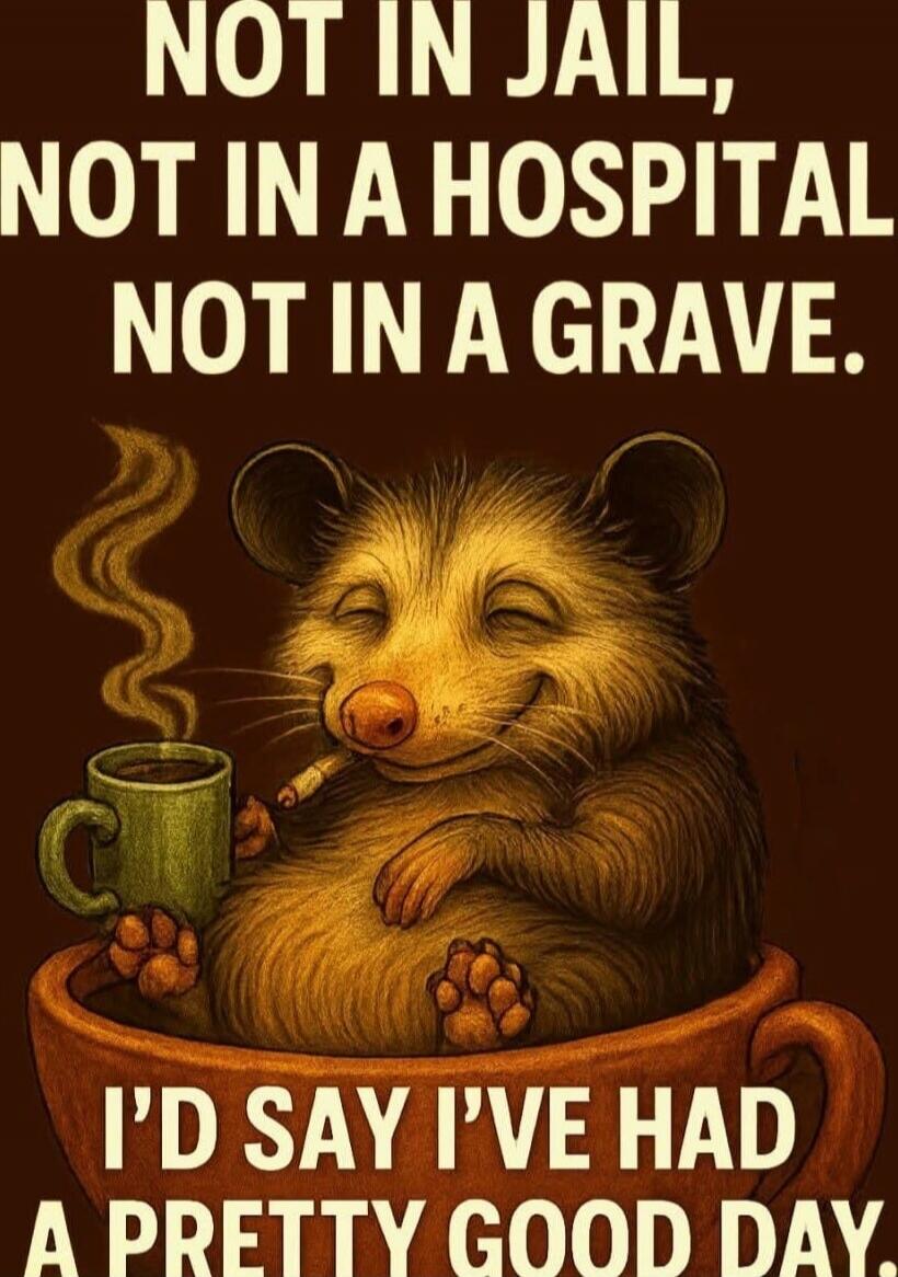 NOT IN JAIL, NOT IN A HOSPITAL, NOT IN A GRAVE. I'D SAY I'VE HAD A PRETTY GOOD DAY.