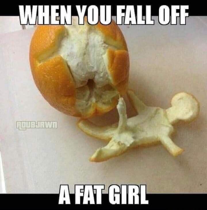 WHEN YOU FALL OFF A FAT GIRL