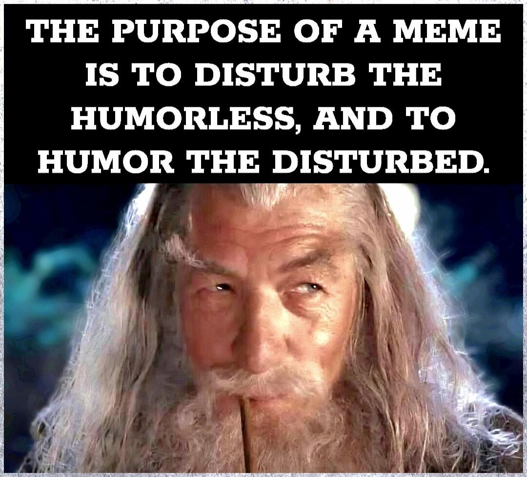 THE PURPOSE OF A MEME IS TO DISTURB THE HUMORLESS, AND TO HUMOR THE DISTURBED.