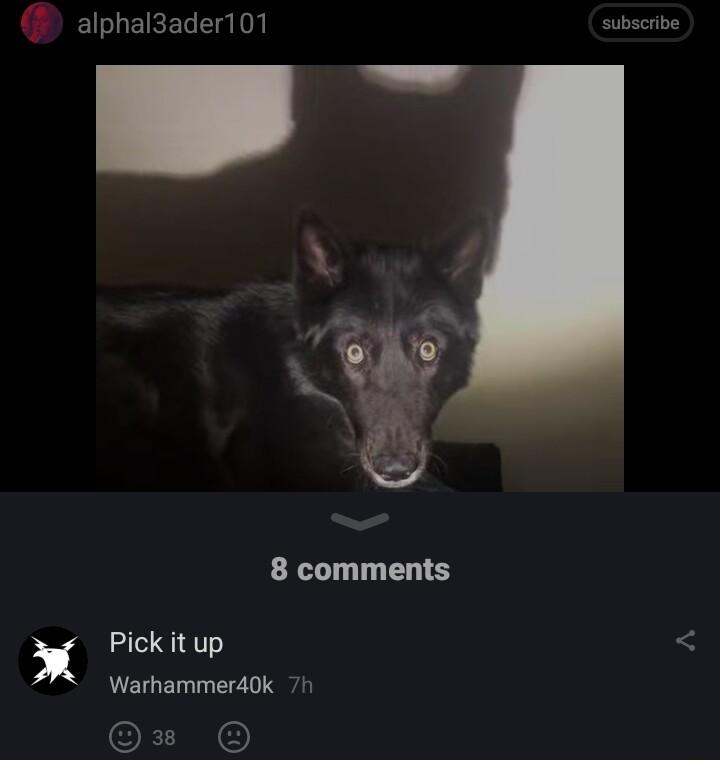 alphal3ader101 Pick it up 8 comments Warhammerdok 7h A