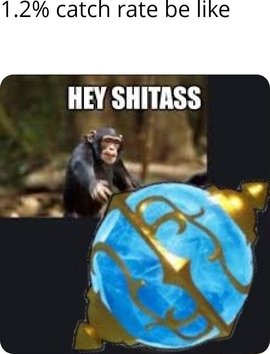 HEY SHITASS N 5 e 1 P N w y