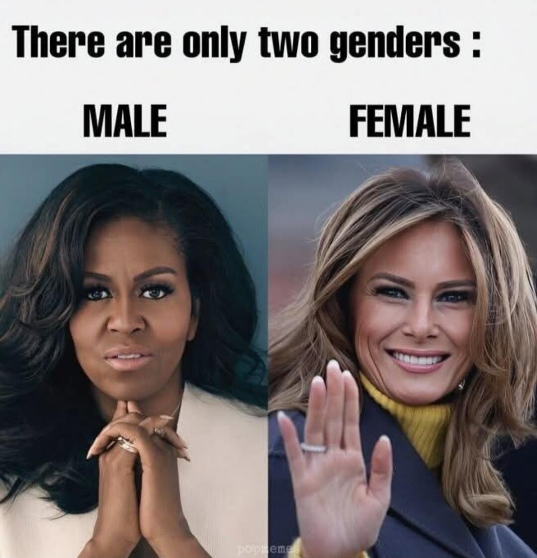 There are only two genders: MALE FEMALE