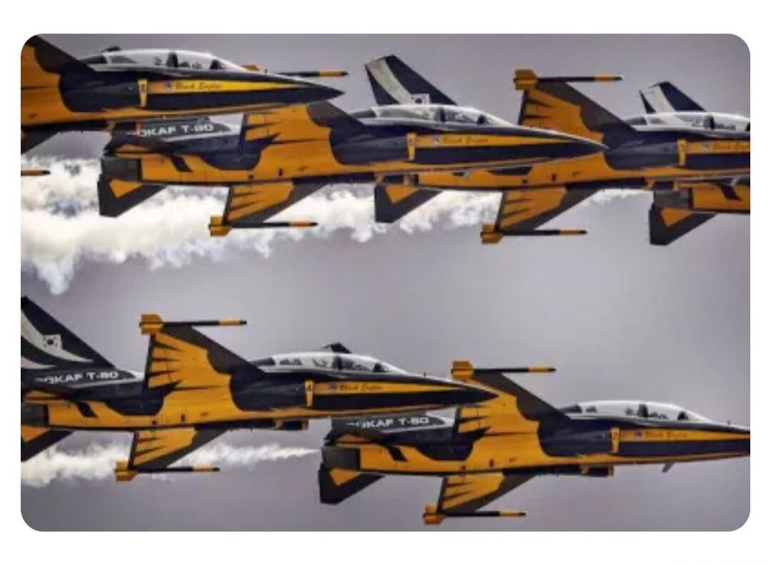 ROKAF T-50 Black Eagles