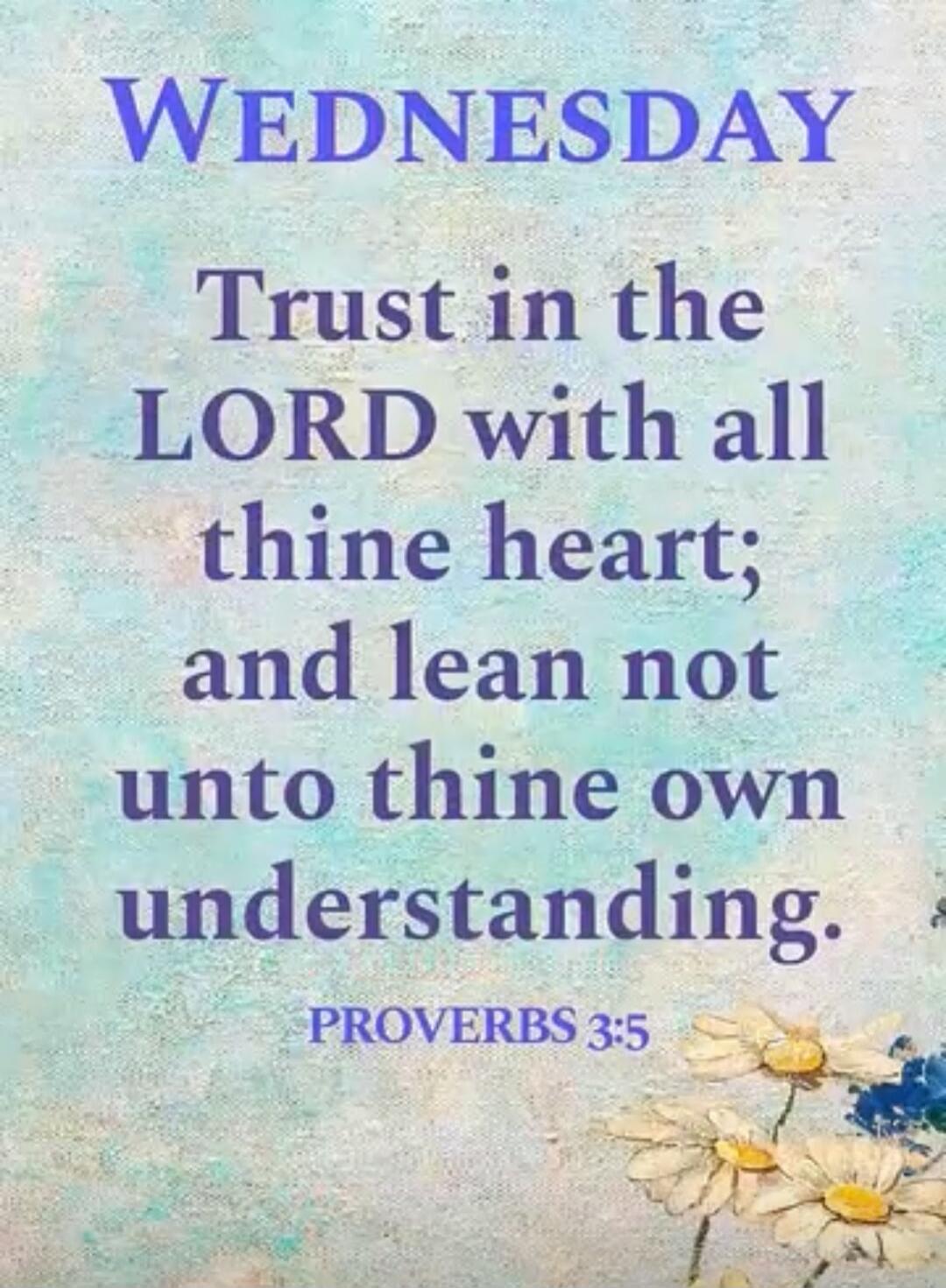 Wednesday
Trust in the LORD with all thine heart; and lean not unto thine own understanding.
PROVERBS 3:5