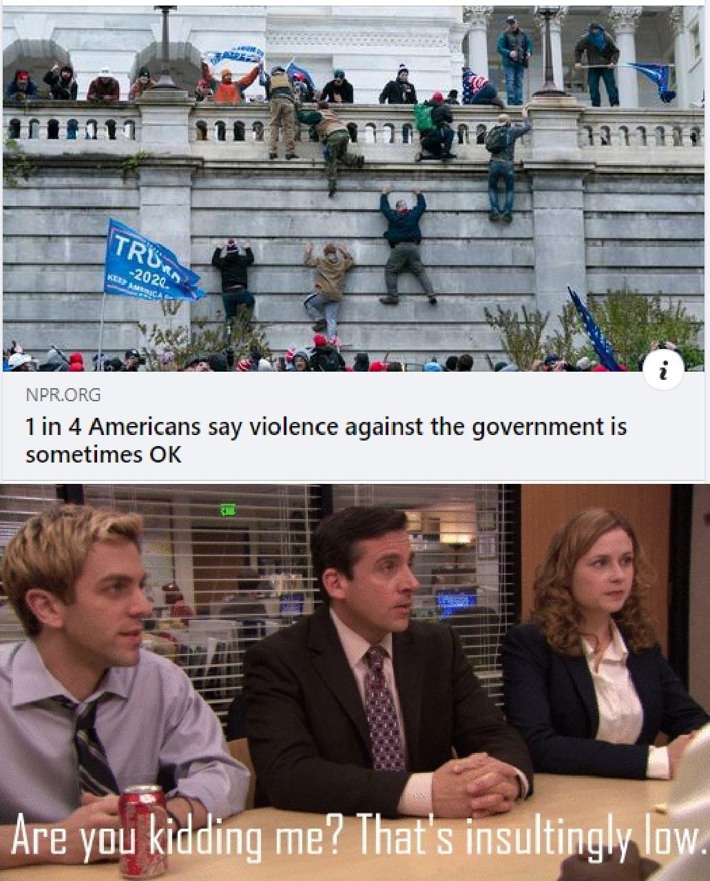 e 1in 4 Americans say violence against the government is sometimes OK