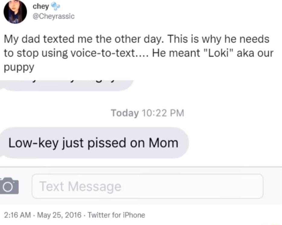 chey 4 Cheyrassic My dad texted me the other day This is why he needs to stop using voice to text He meant Loki aka our puppy Today 1022 PM Low key just pissed on Mom 216 AM May 26 2016 Twitter for iPhone