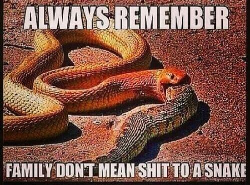 ALWAYS REMEMBER FAMILY DON'T MEAN SHIT TO A SNAKE