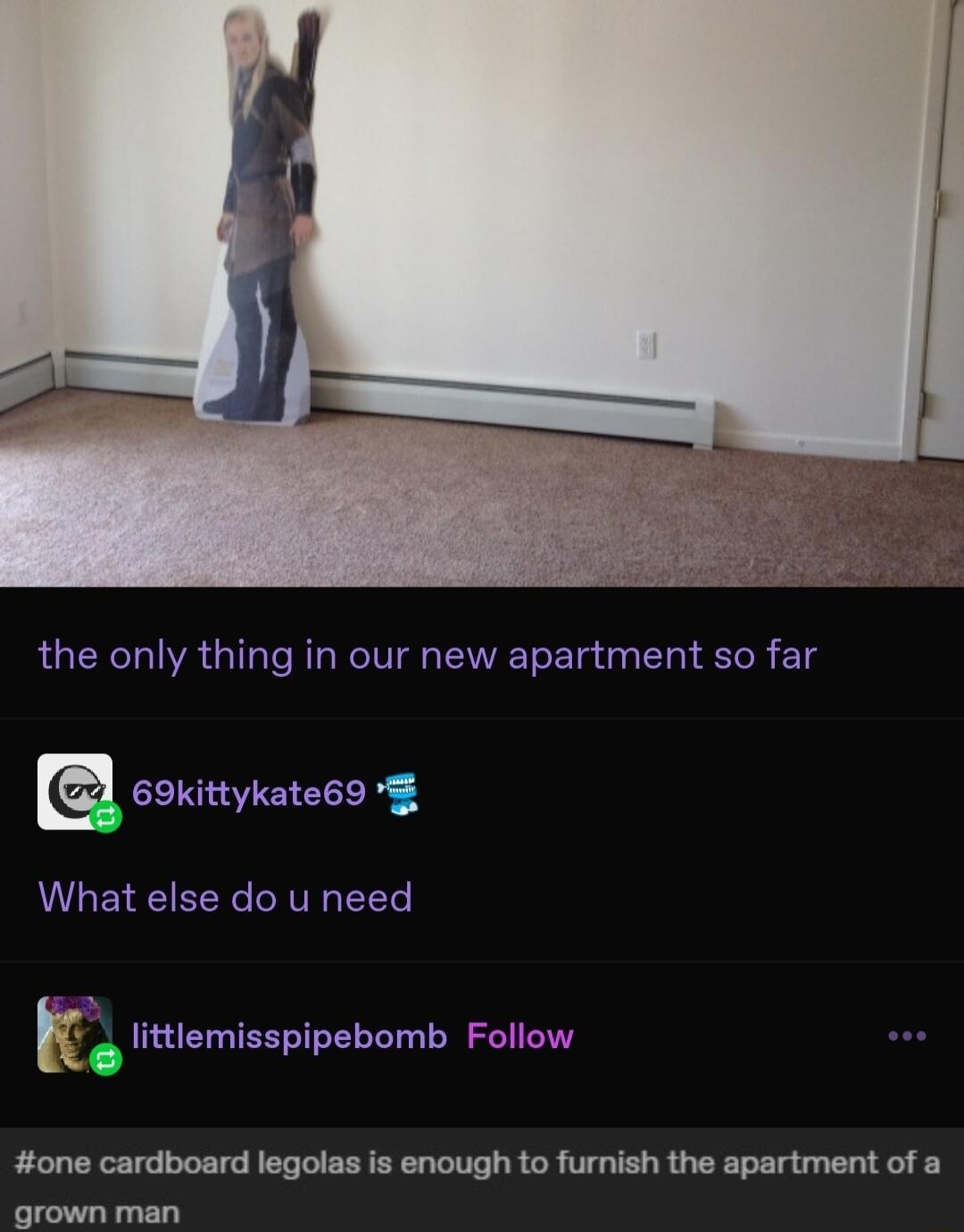 the only thing in our new apartment so far 69kittykate69 What else do u need littlemisspipebomb Follow K i one cardboard legolas is enough to furnish the apartment of a P a