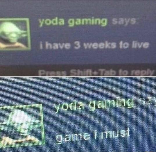 yoda gaming says _Aq i have 3 weeks fo live e Shift Tab to reply
