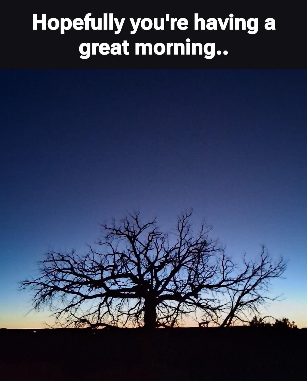 Hopefully you're having a great morning..