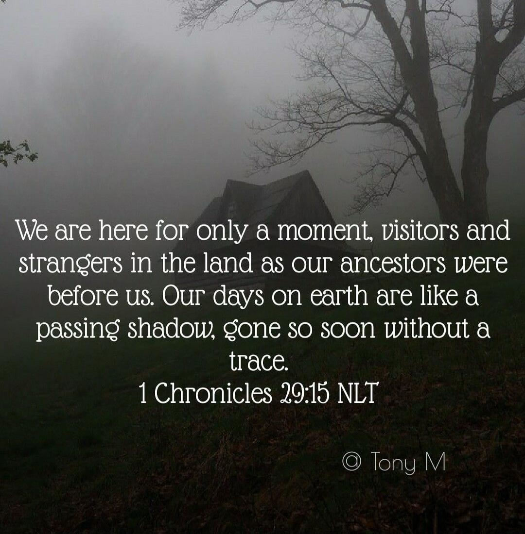 We are here for only a moment, visitors and strangers in the land as our ancestors were before us. Our days on earth are like a passing shadow, gone so soon without a trace. 1 Chronicles 29:15 NLT

© Tony M