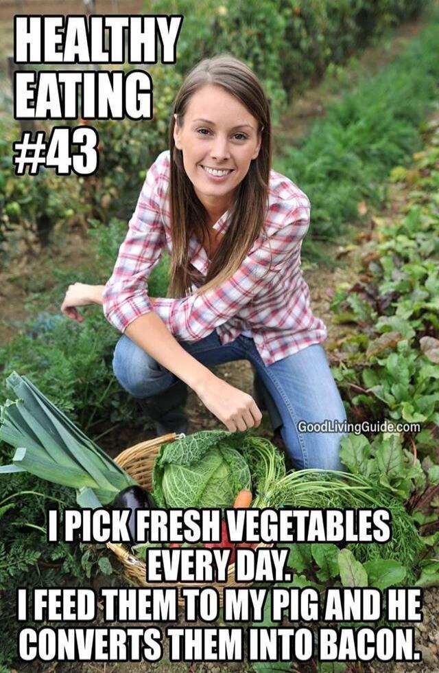 HEALTHY EATING #43. I pick fresh vegetables every day. I feed them to my pig and he converts them into bacon.