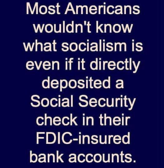 Most Americans wouldnt know what socialism is even if it directly deposited a STeleil ISTTell 111 check in their FDIC insured bank accounts